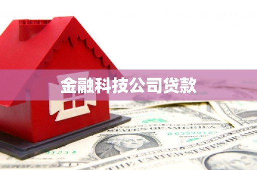 大邑金融科技公司贷款
