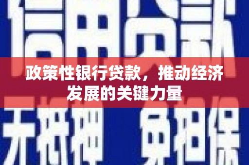 大邑政策性银行贷款，推动经济发展的关键力量
