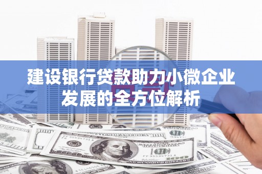 大邑建设银行贷款助力小微企业发展的全方位解析
