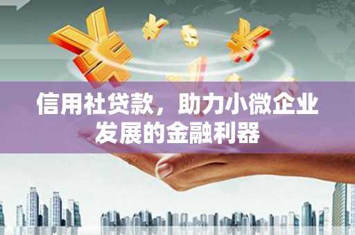 大邑信用社贷款，助力小微企业发展的金融利器