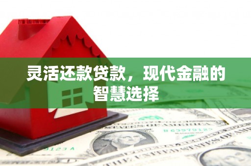 大邑灵活还款贷款，现代金融的智慧选择