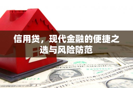 大邑信用贷，现代金融的便捷之选与风险防范