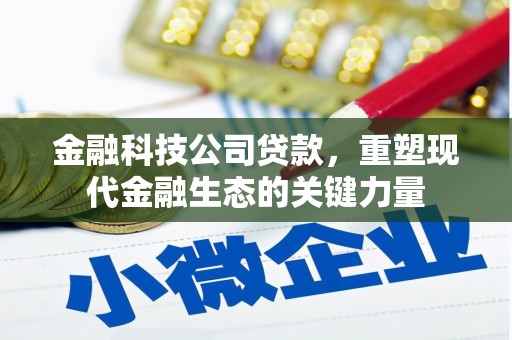 大邑金融科技公司贷款，重塑现代金融生态的关键力量
