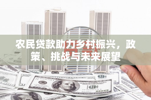 大邑农民贷款助力乡村振兴，政策、挑战与未来展望