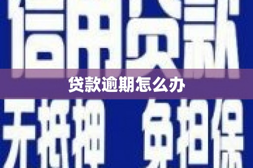 大邑贷款逾期怎么办