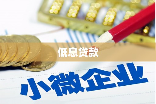 大邑低息贷款