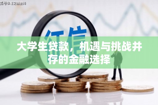 大邑大学生贷款，机遇与挑战并存的金融选择