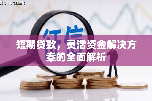 大邑短期贷款，灵活资金解决方案的全面解析