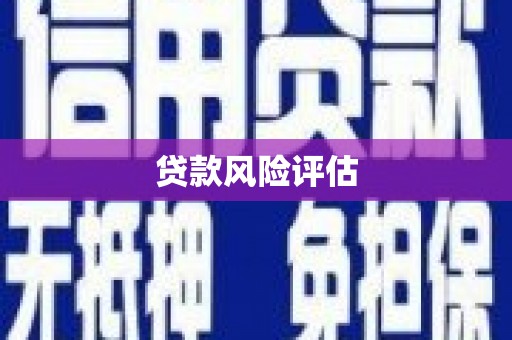 大邑贷款风险评估