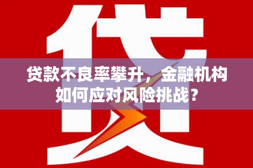 大邑贷款不良率攀升，金融机构如何应对风险挑战？