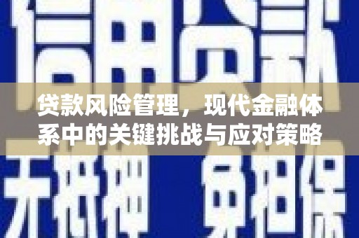 大邑贷款风险管理，现代金融体系中的关键挑战与应对策略