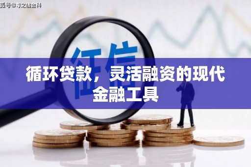 大邑循环贷款，灵活融资的现代金融工具
