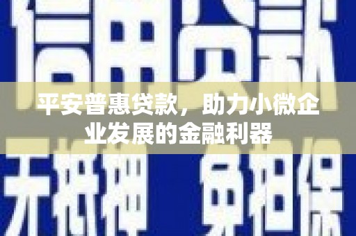 大邑平安普惠贷款，助力小微企业发展的金融利器