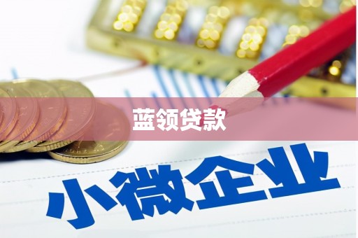 大邑蓝领贷款