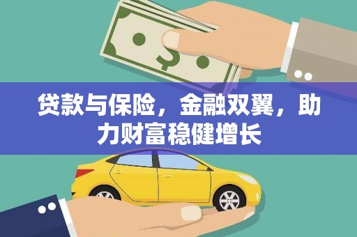 大邑贷款与保险，金融双翼，助力财富稳健增长