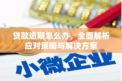 大邑贷款逾期怎么办，全面解析应对策略与解决方案