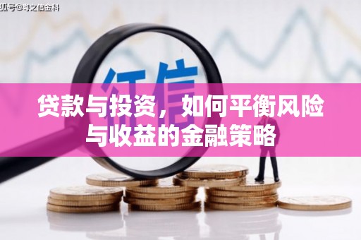 大邑贷款与投资，如何平衡风险与收益的金融策略