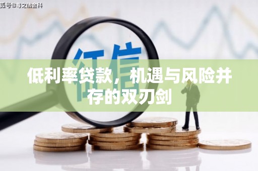 大邑低利率贷款，机遇与风险并存的双刃剑