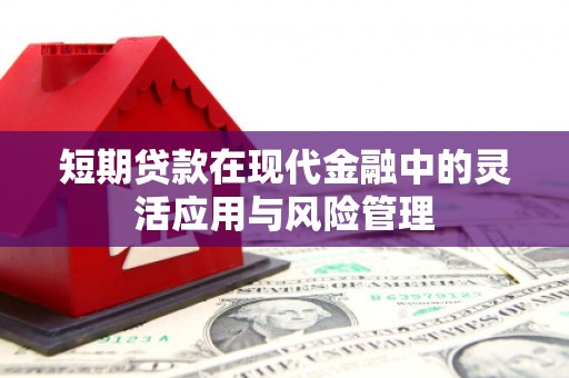 大邑短期贷款在现代金融中的灵活应用与风险管理