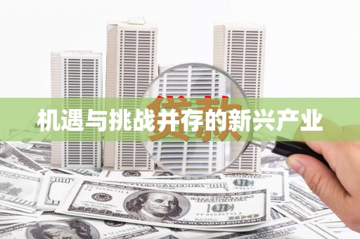 大邑机遇与挑战并存的新兴产业