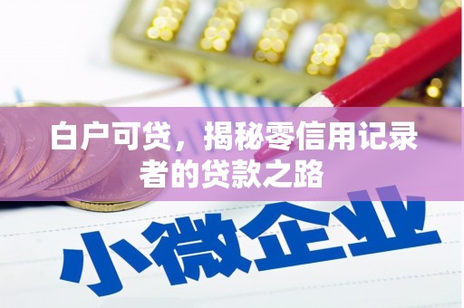 大邑白户可贷，揭秘零信用记录者的贷款之路