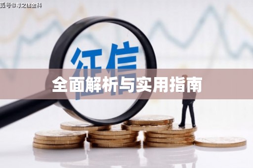 大邑全面解析与实用指南