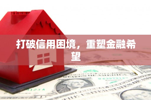 大邑打破信用困境，重塑金融希望