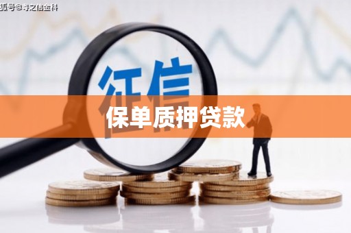 大邑保单质押贷款