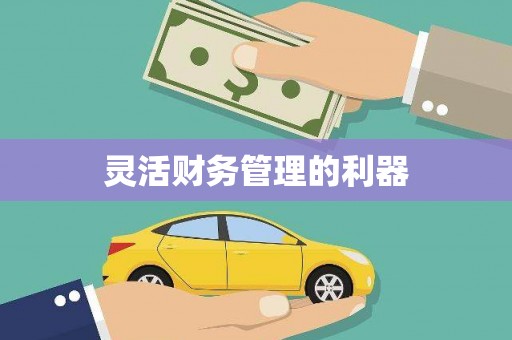 大邑灵活财务管理的利器