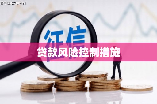 大邑贷款风险控制措施
