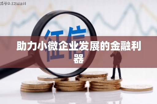 大邑助力小微企业发展的金融利器