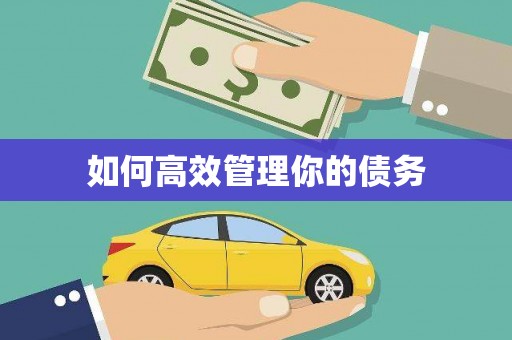 大邑如何高效管理你的债务