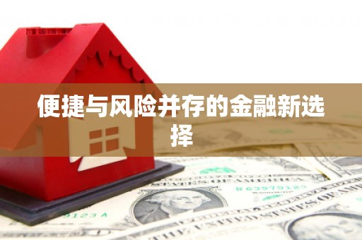 大邑便捷与风险并存的金融新选择