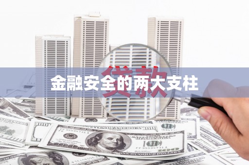 大邑金融安全的两大支柱