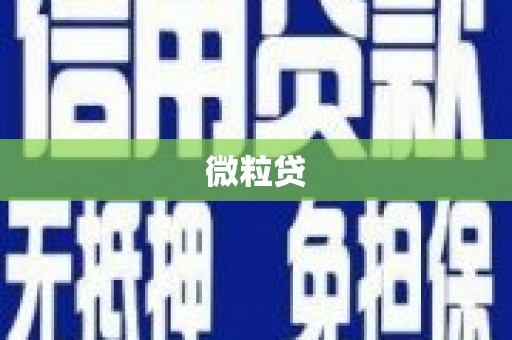 大邑微粒贷