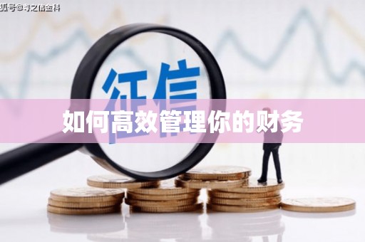 大邑如何高效管理你的财务