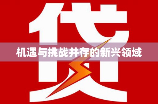 大邑机遇与挑战并存的新兴领域