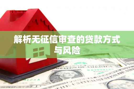 大邑解析无征信审查的贷款方式与风险