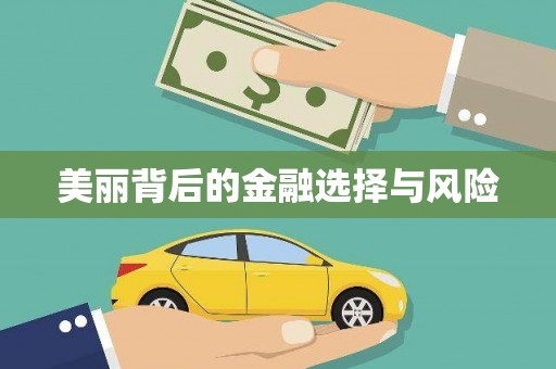大邑美丽背后的金融选择与风险