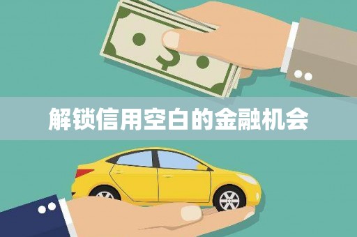 大邑解锁信用空白的金融机会
