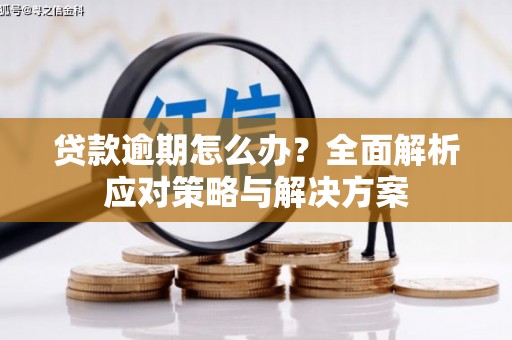 大邑贷款逾期怎么办？全面解析应对策略与解决方案