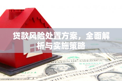 大邑贷款风险处置方案，全面解析与实施策略