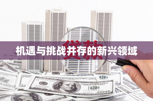 大邑机遇与挑战并存的新兴领域