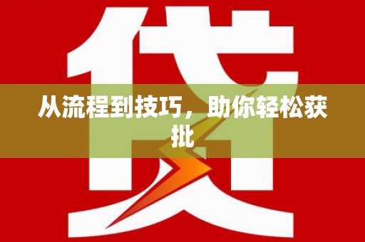 大邑从流程到技巧，助你轻松获批