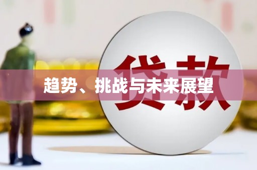 大邑趋势、挑战与未来展望