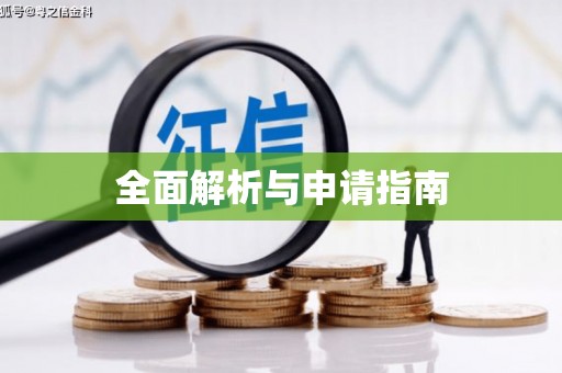 大邑全面解析与申请指南