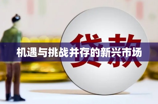 大邑机遇与挑战并存的新兴市场