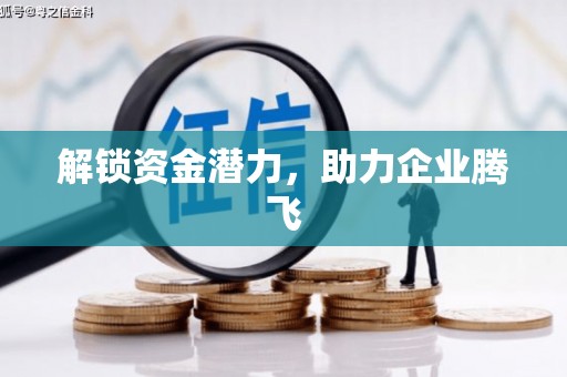 大邑解锁资金潜力，助力企业腾飞