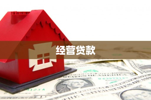 大邑经营贷款