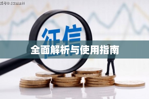 大邑全面解析与使用指南